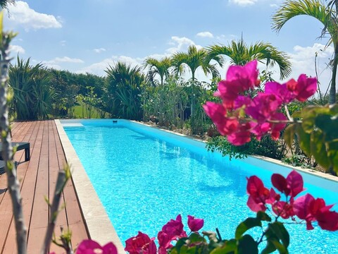 Soraniwa Hotel and Cafe (소라니와 호텔 앤 카페)