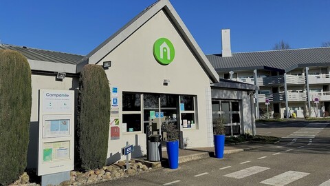 캄파닐 디종 노르 - 토이손 도르