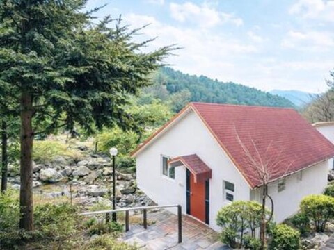 Apollo Observatory Pension