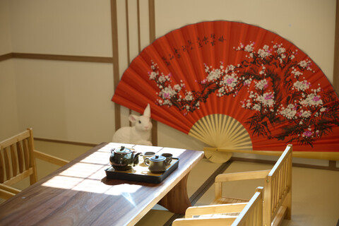 춘천 감성료칸 호텔 우사기