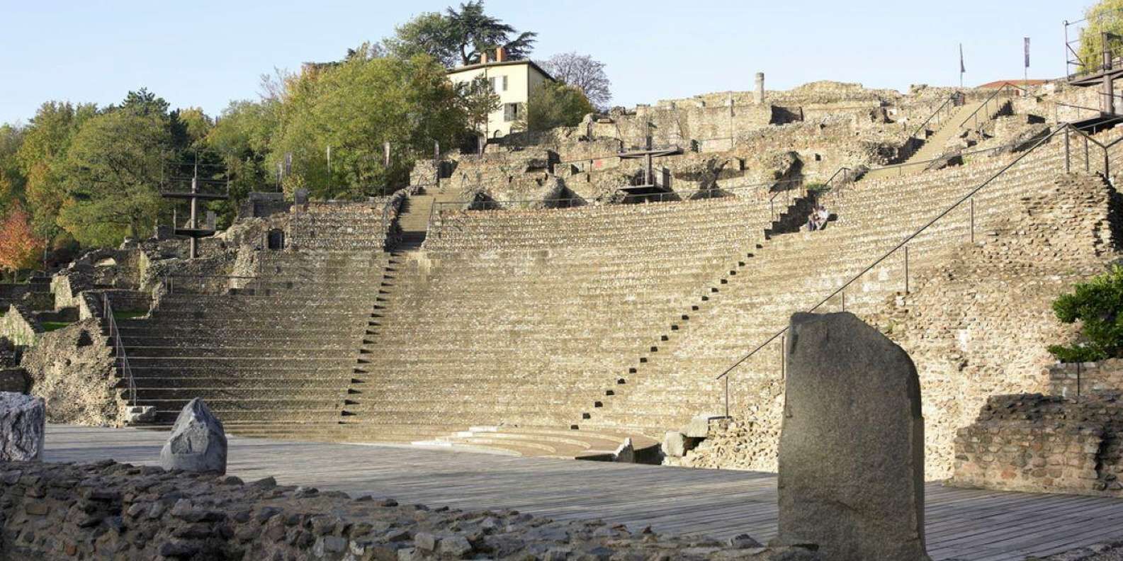 section