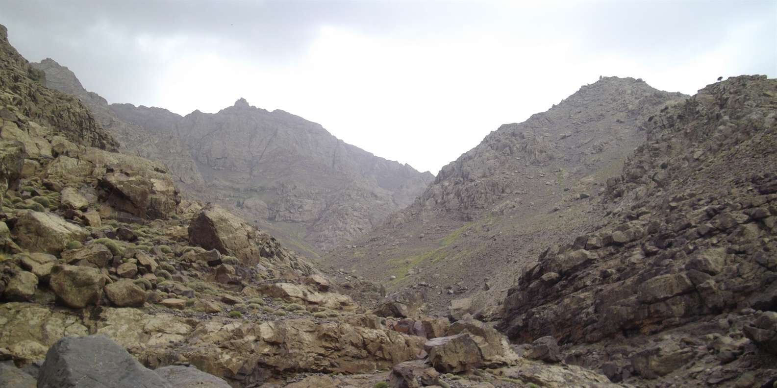 section