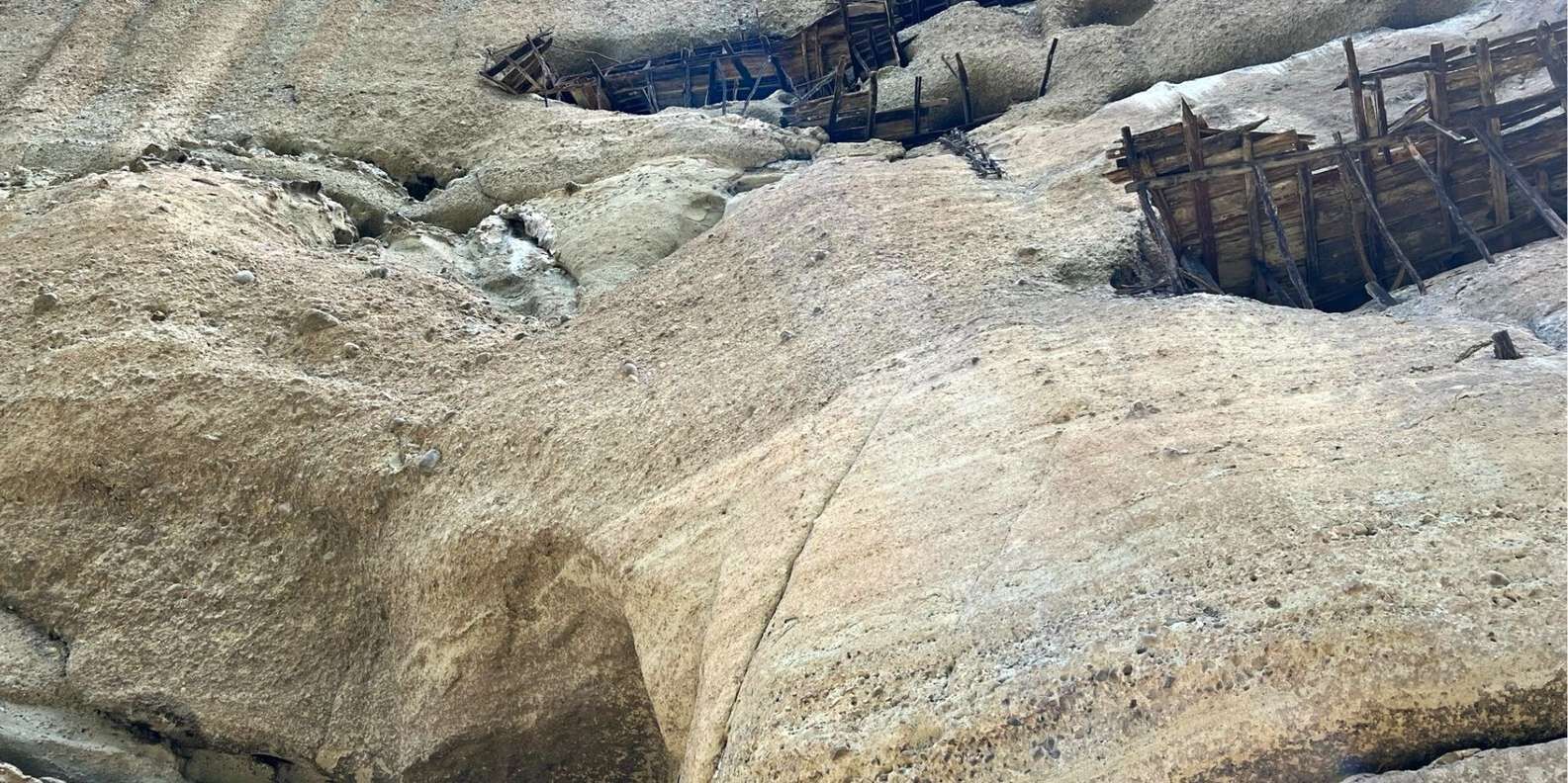 section