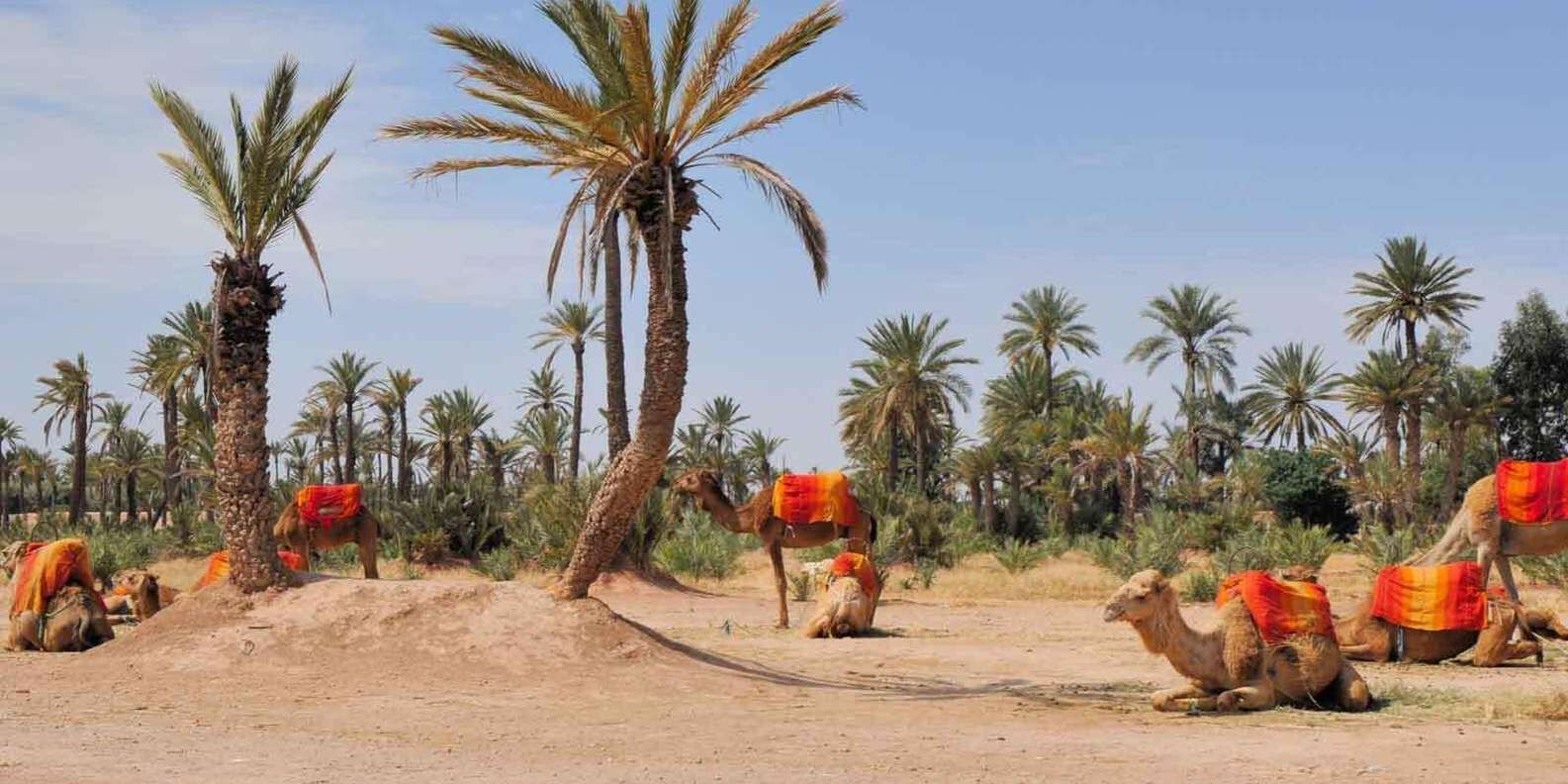 hero
