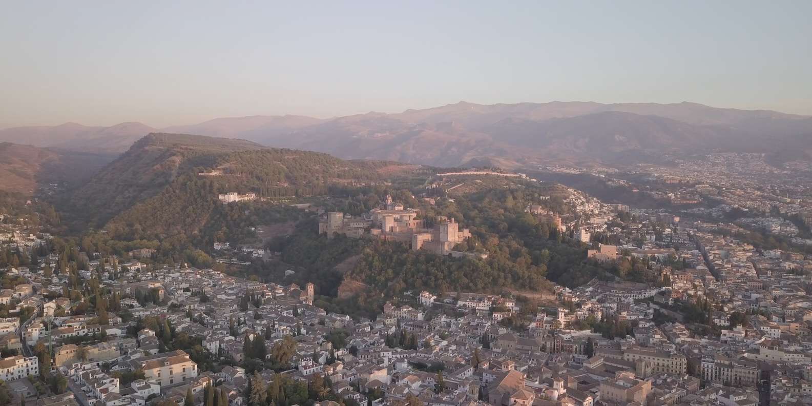 section