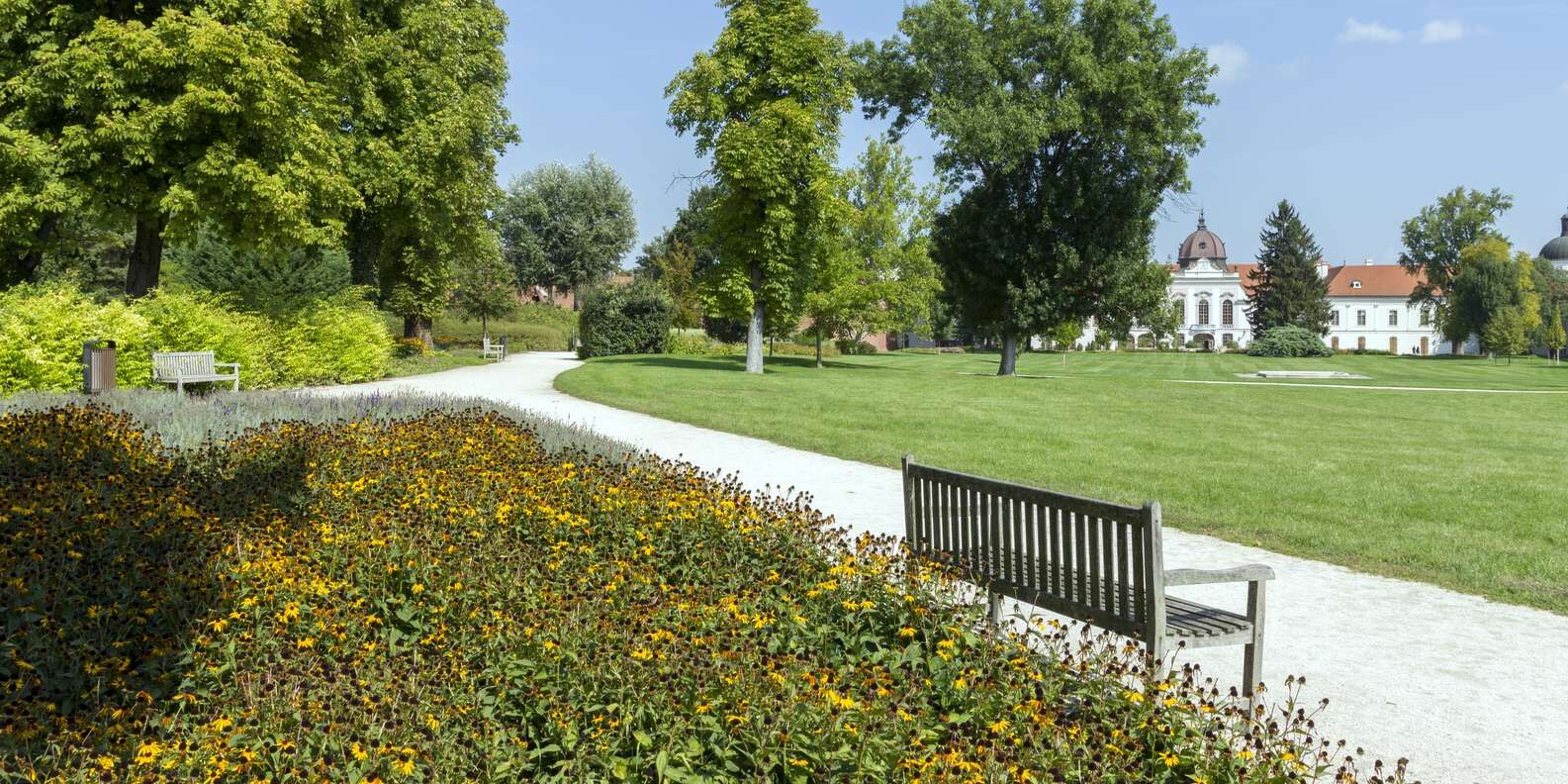 section