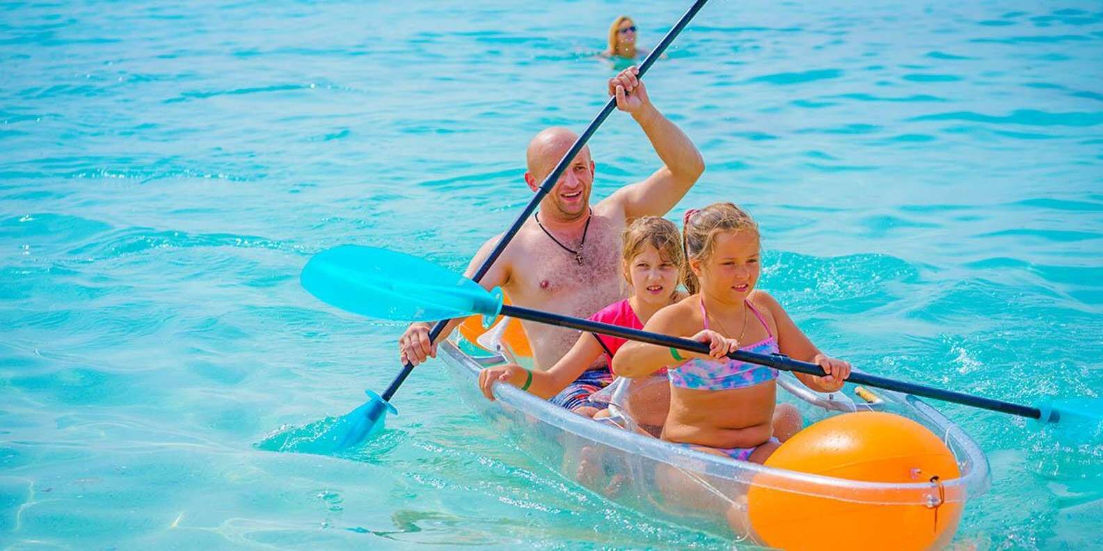 section