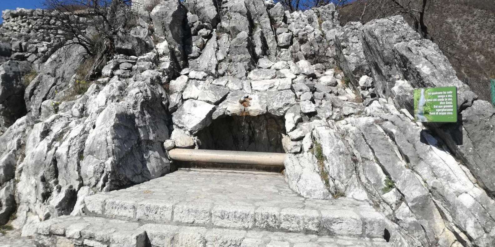 section