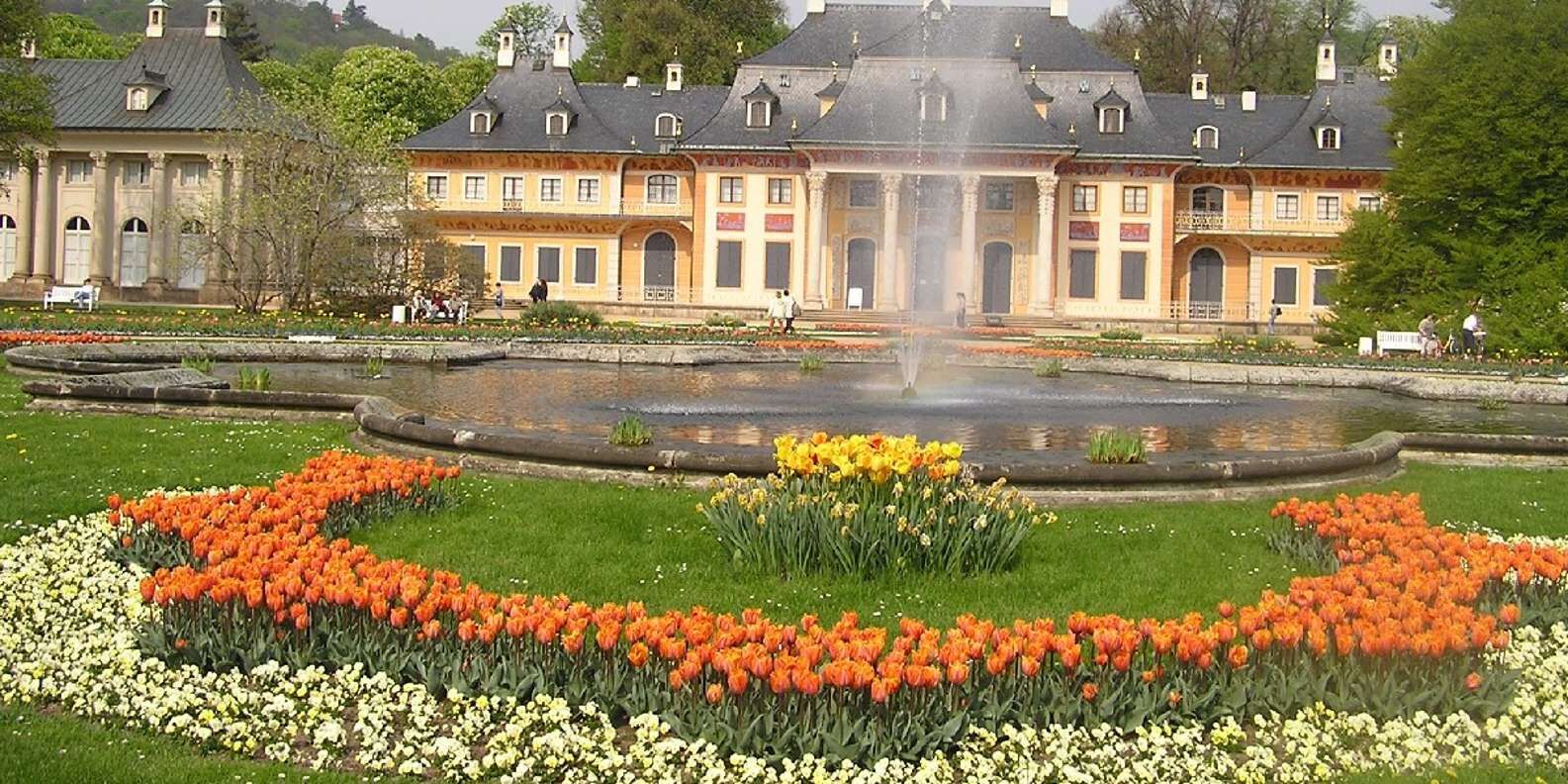 section