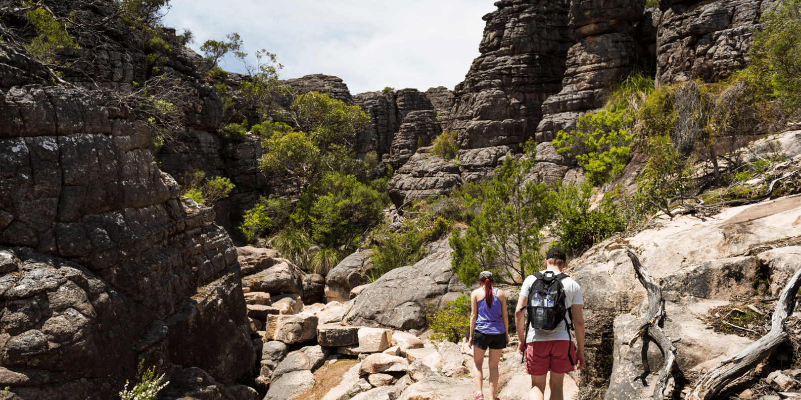 여행 상품 이미지