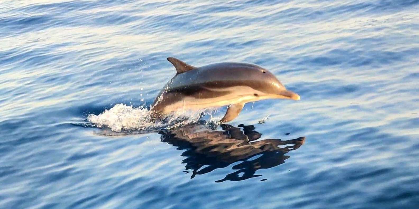 여행 상품 이미지