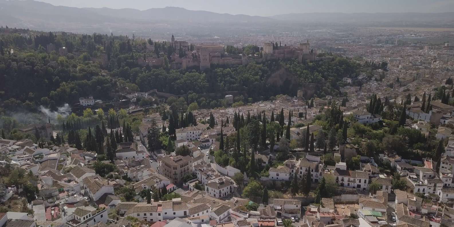 section