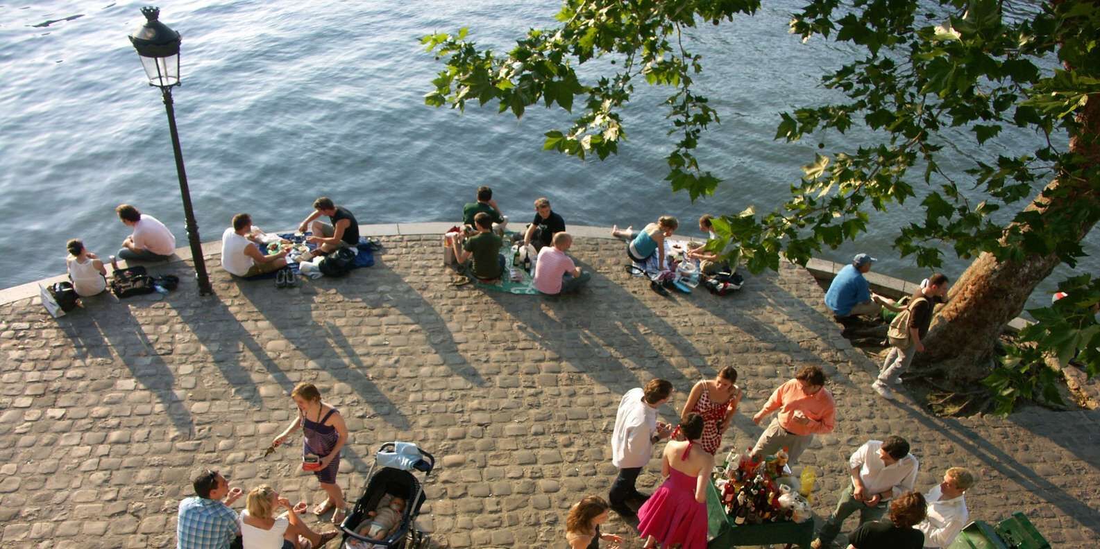 section