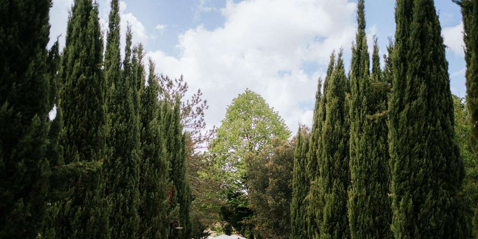 section