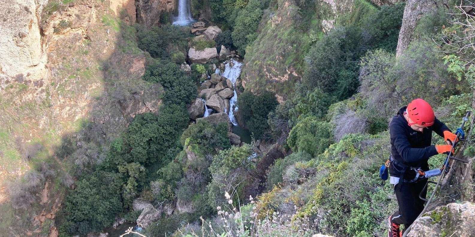 section