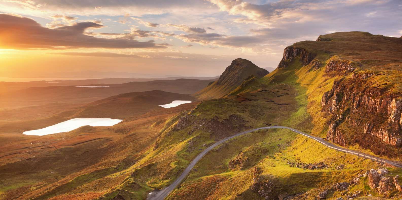 section