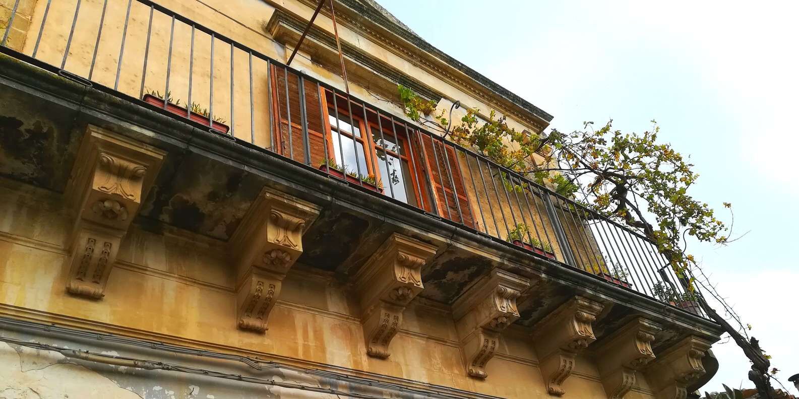 section