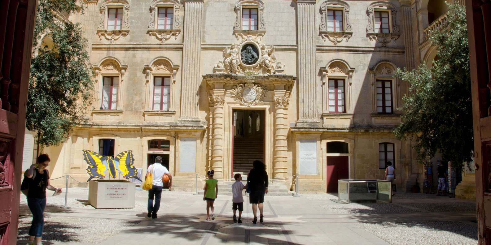 section
