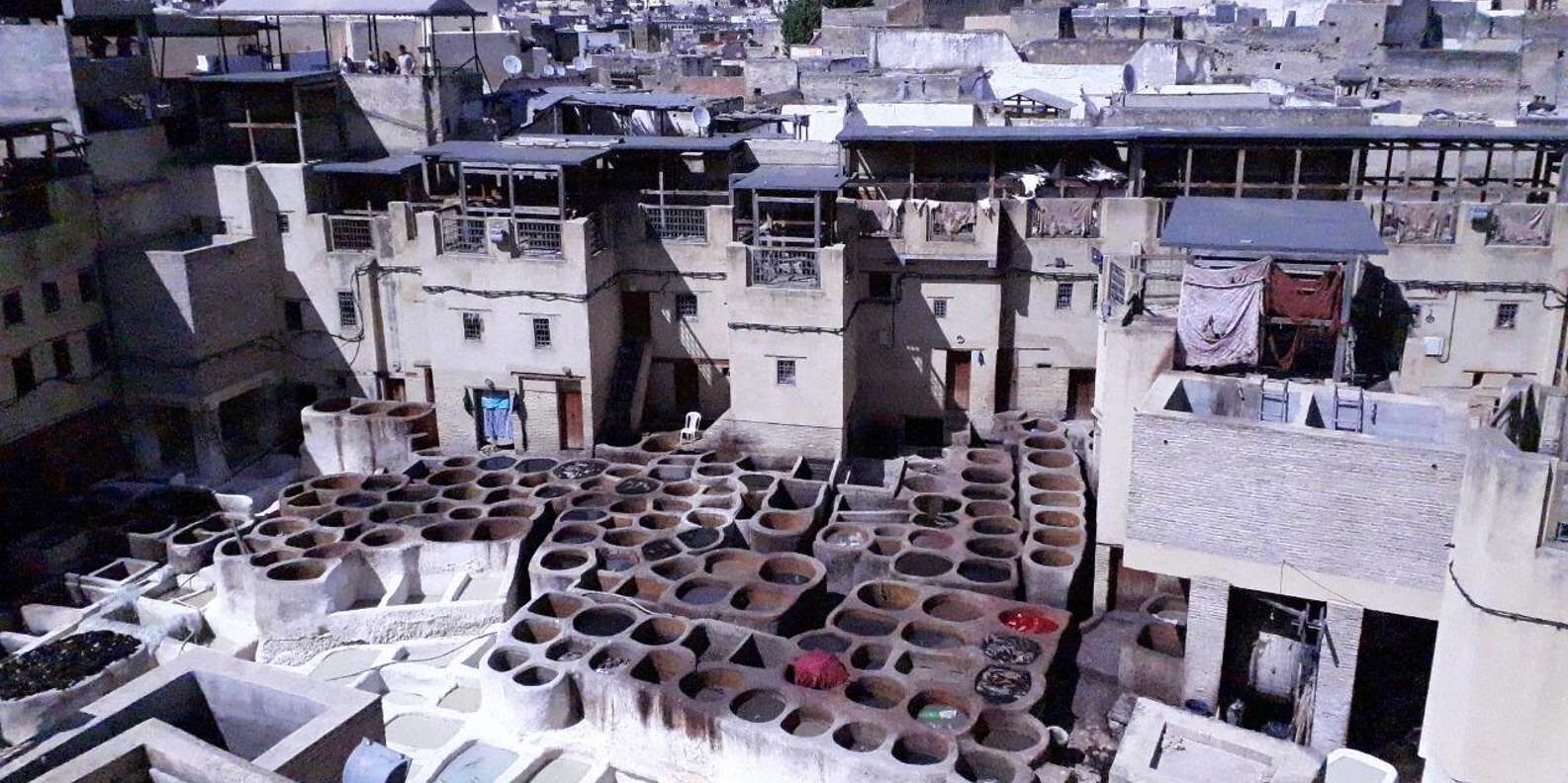 section