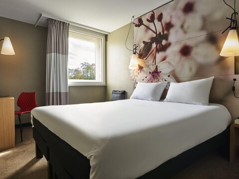 이비스 마르느 라 발레 에머랑빌르