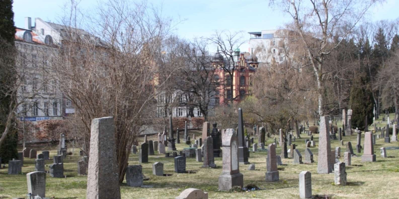 section