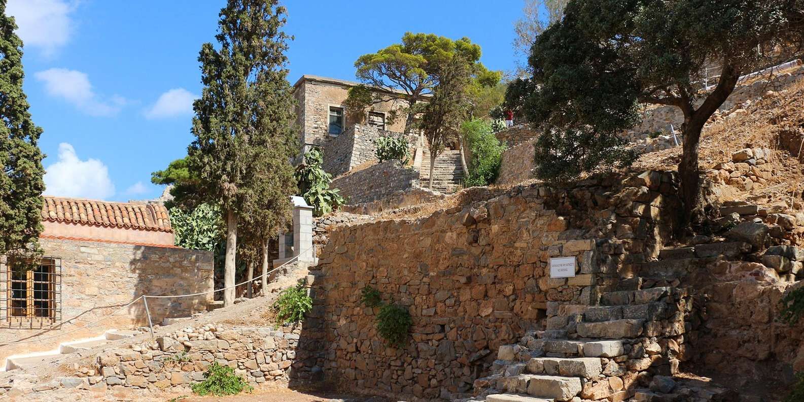 section