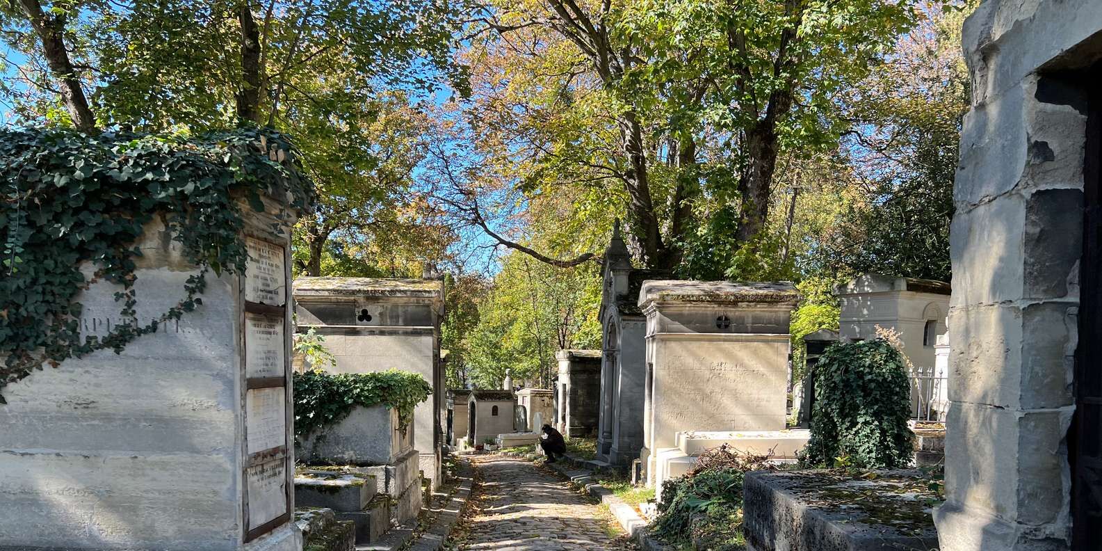 section