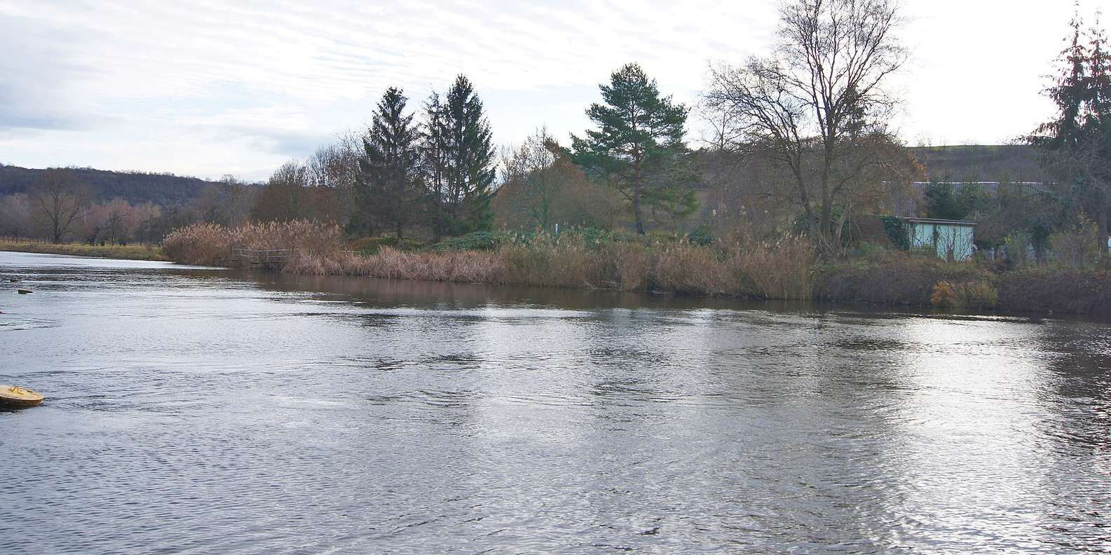 section