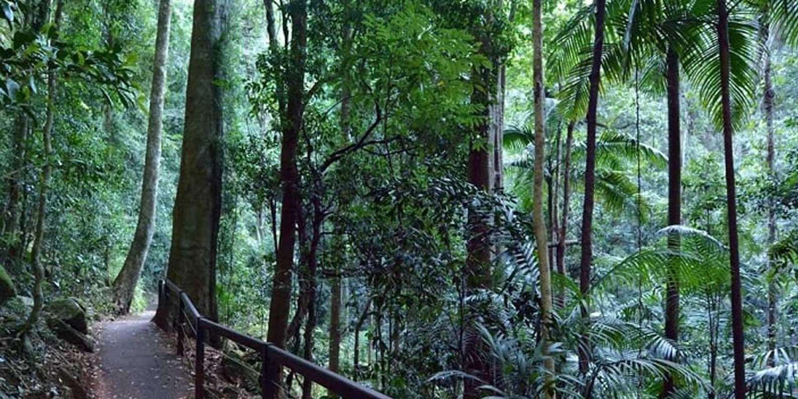 section