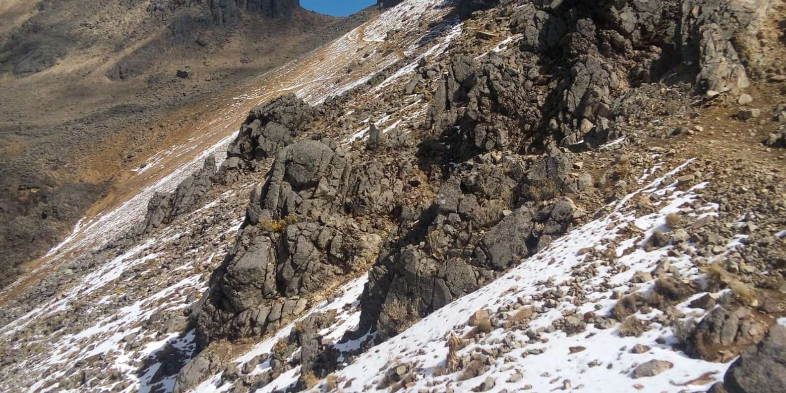 section