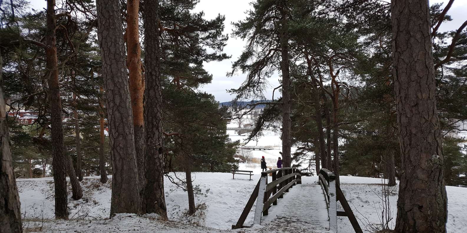 section