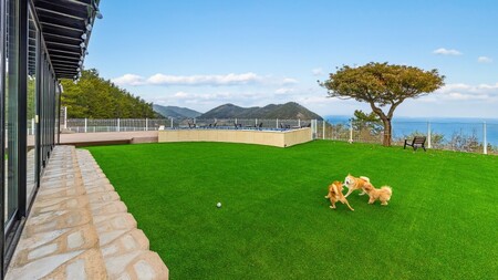 여수 스테이멍애견스파펜션