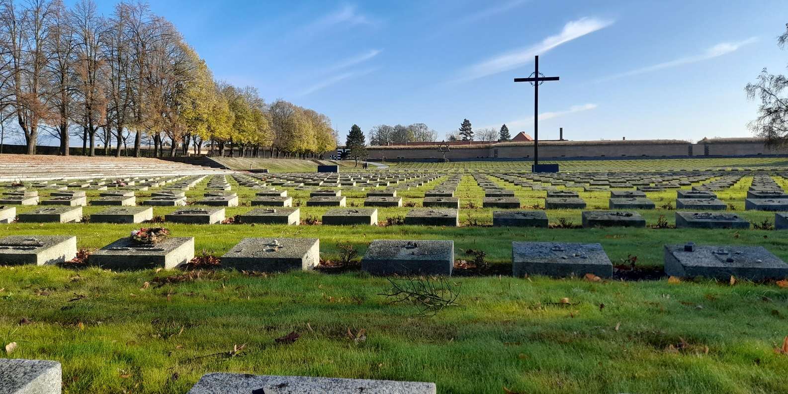 section