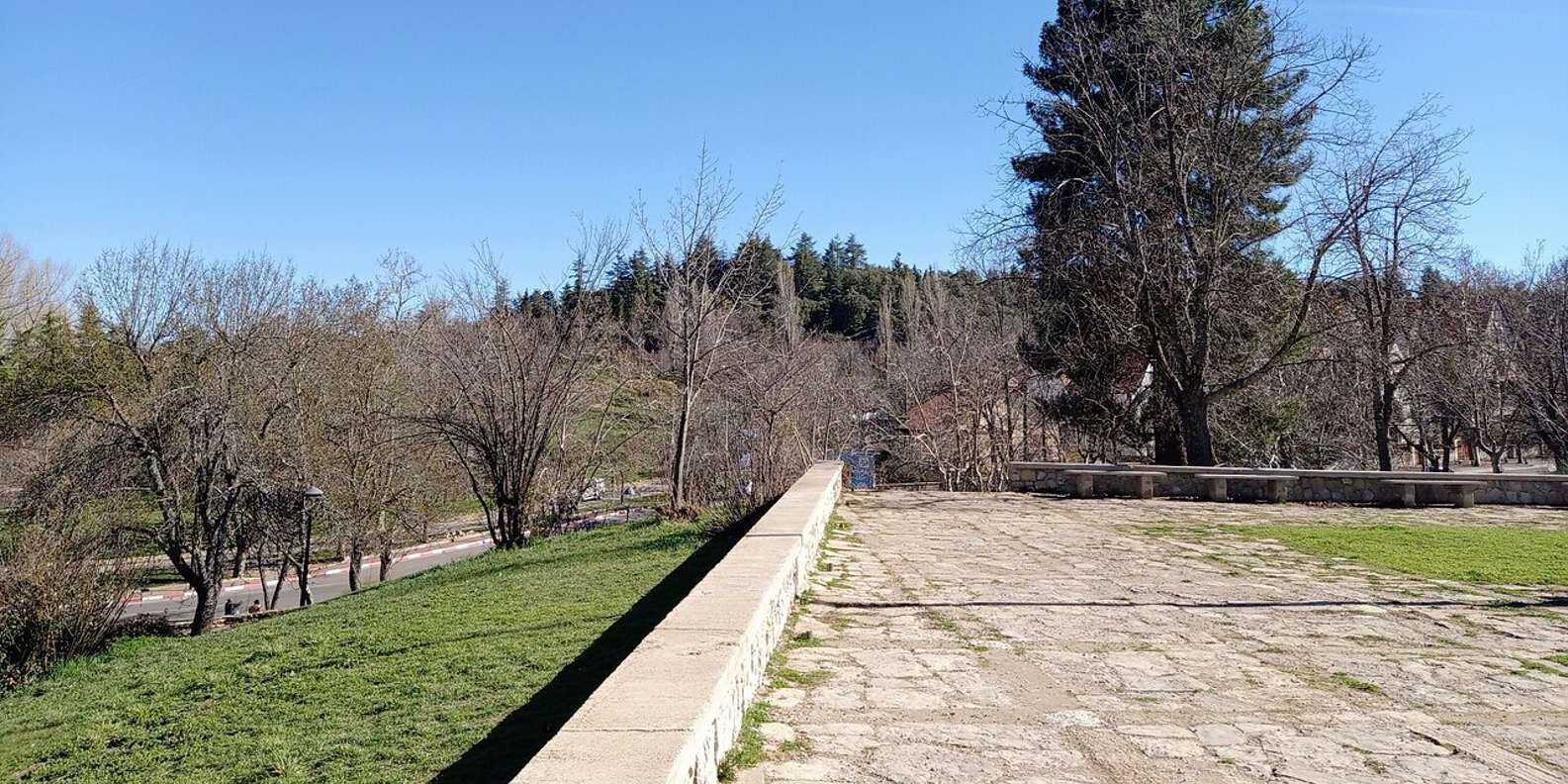 section
