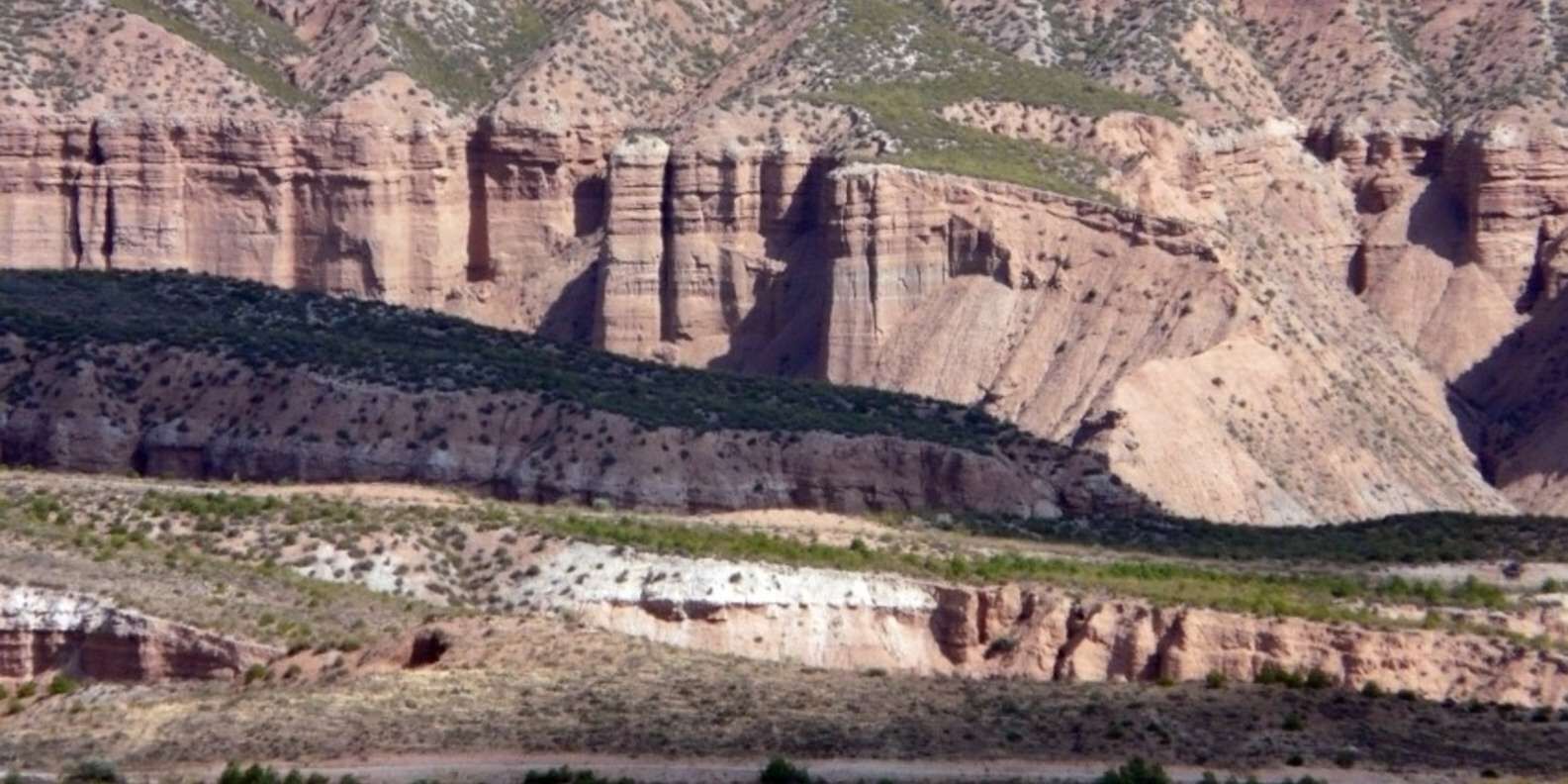 section