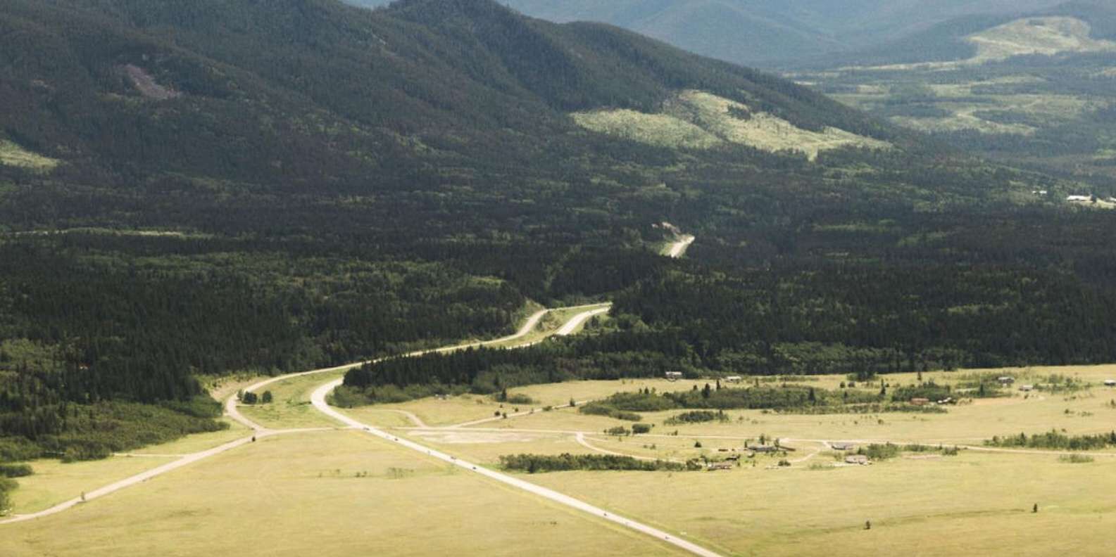 section