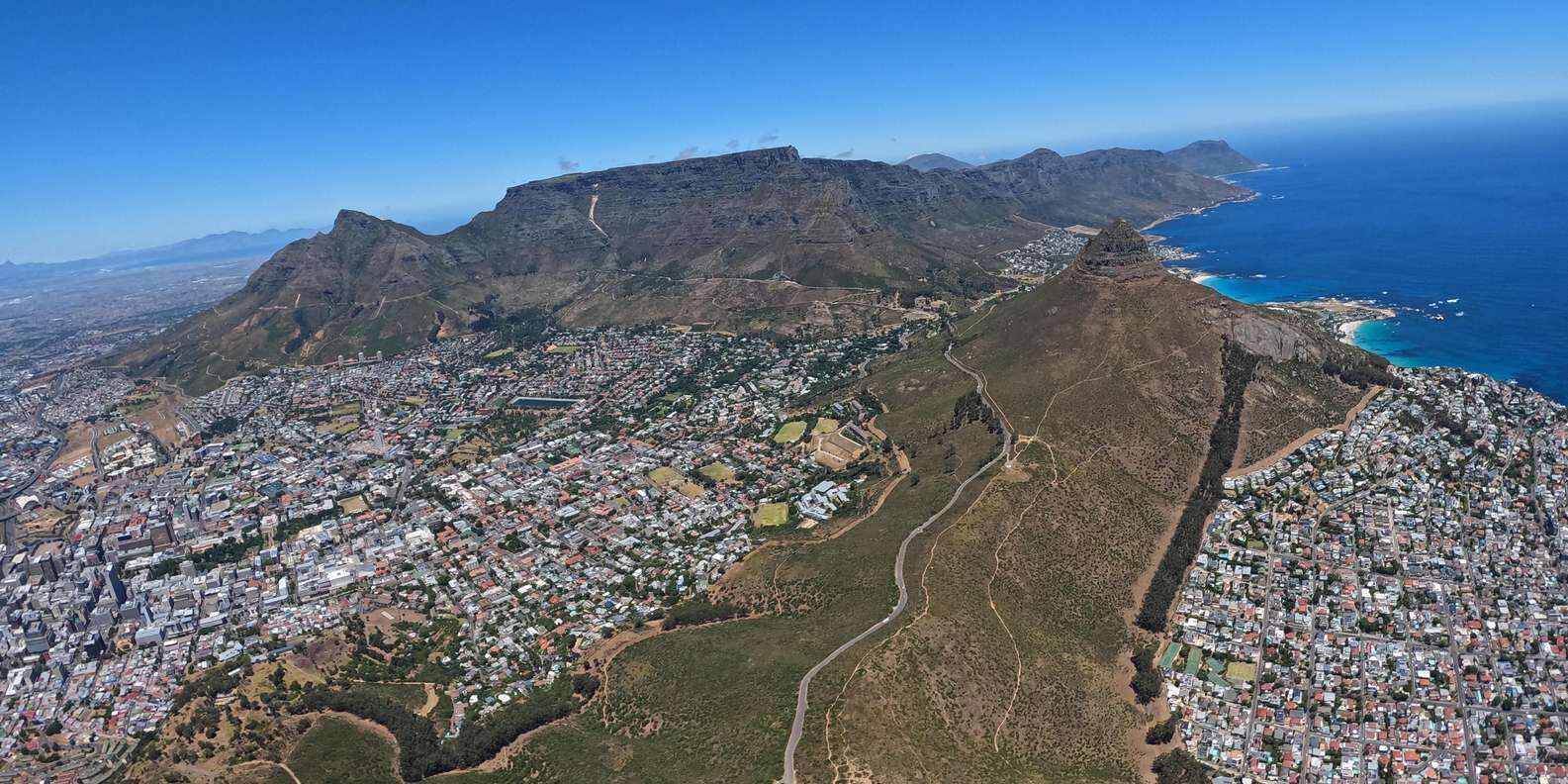 section