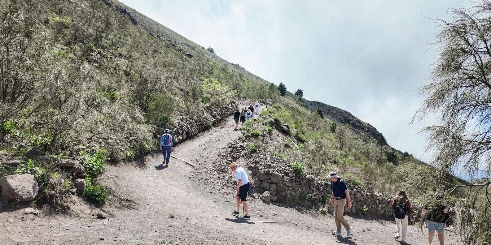 section