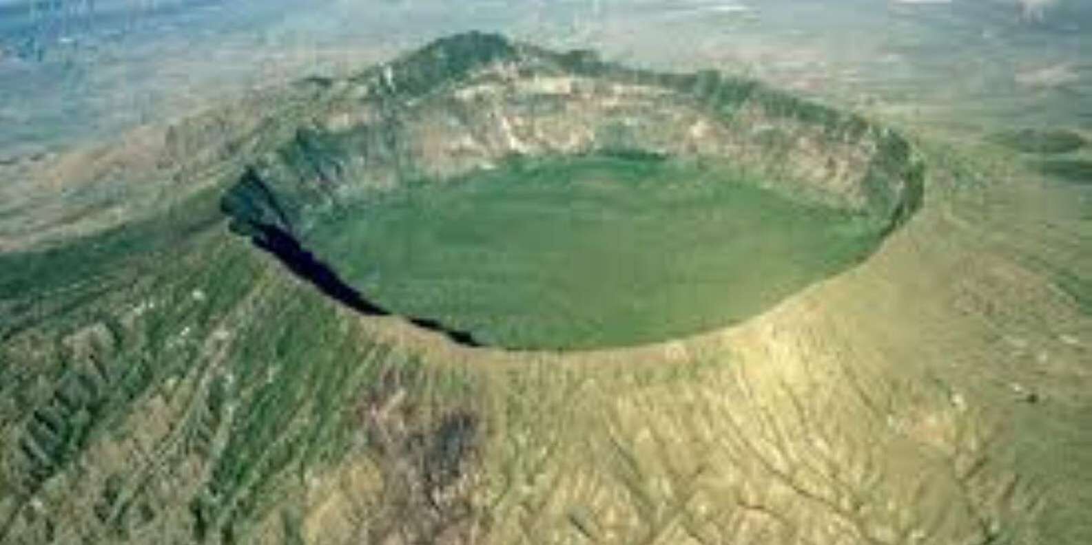 section