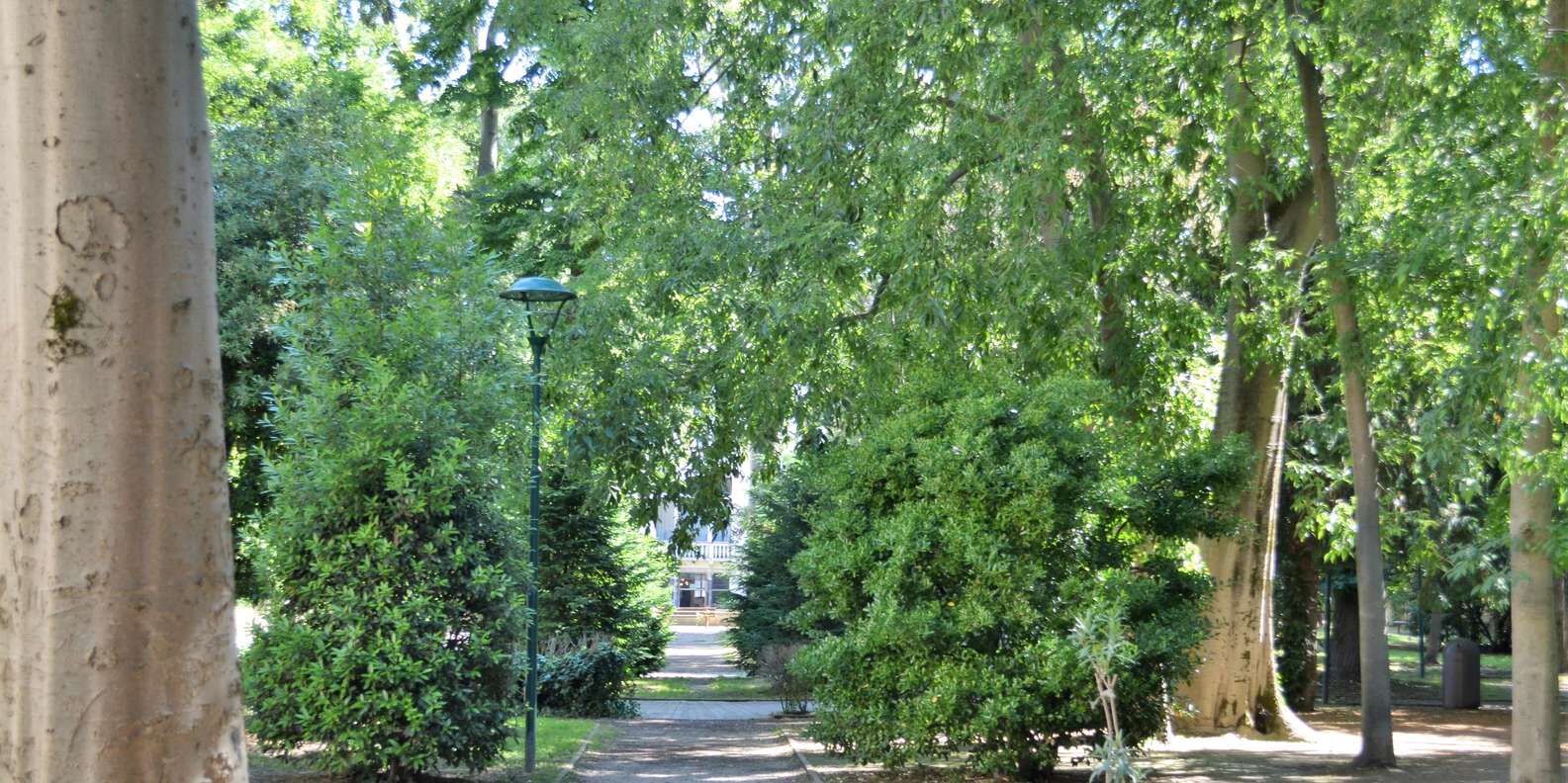 section
