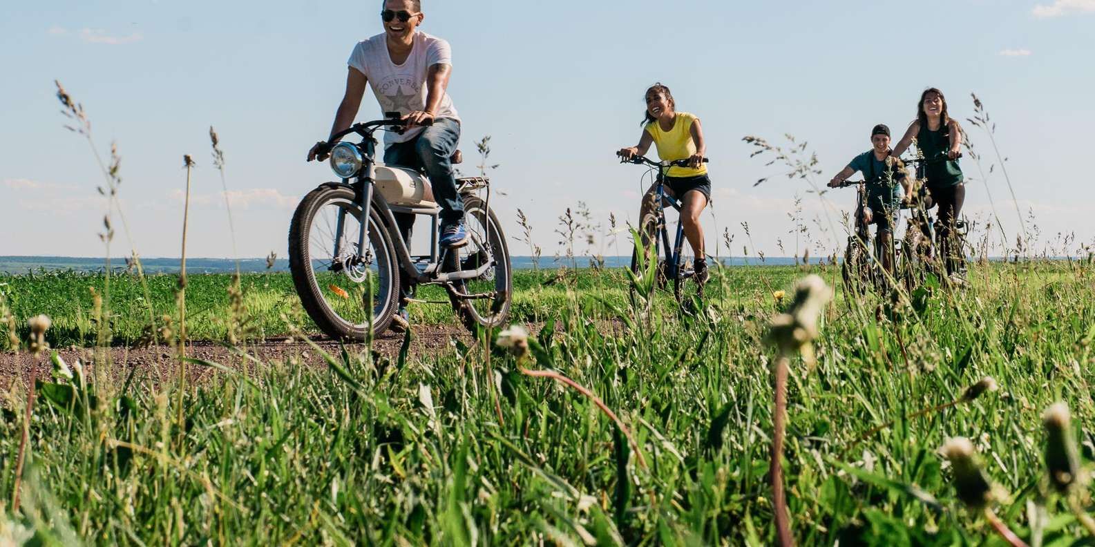 section