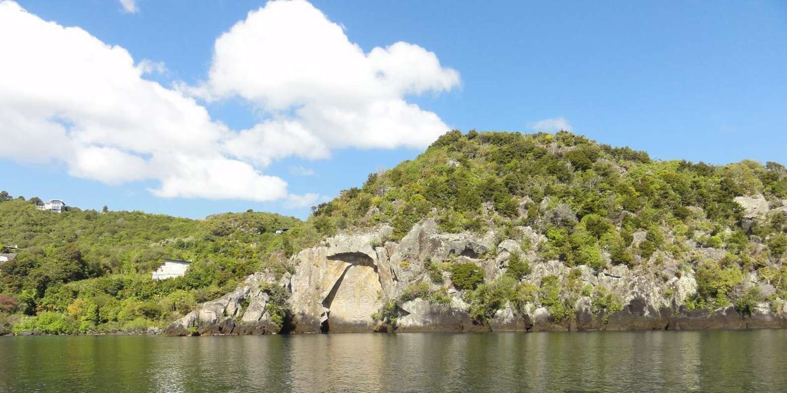 section