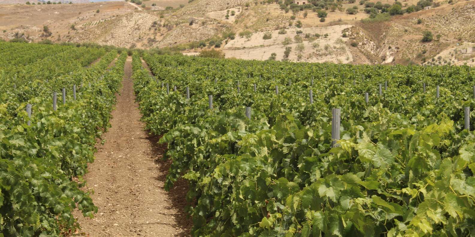 hero