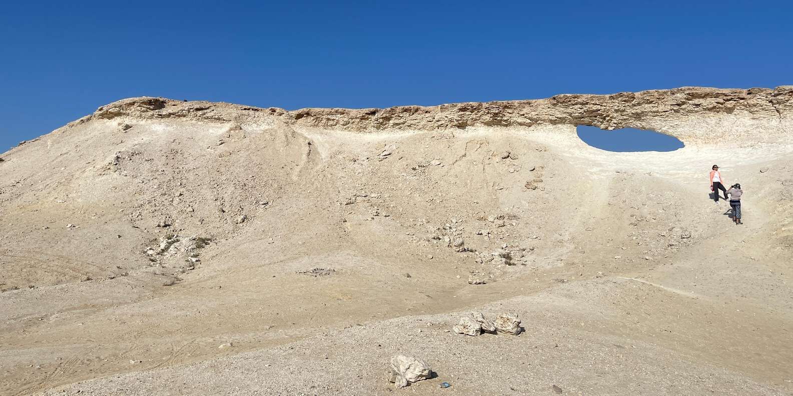 section