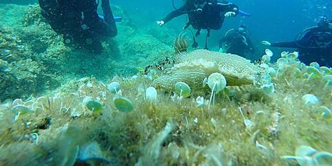 product-thumbnail-1