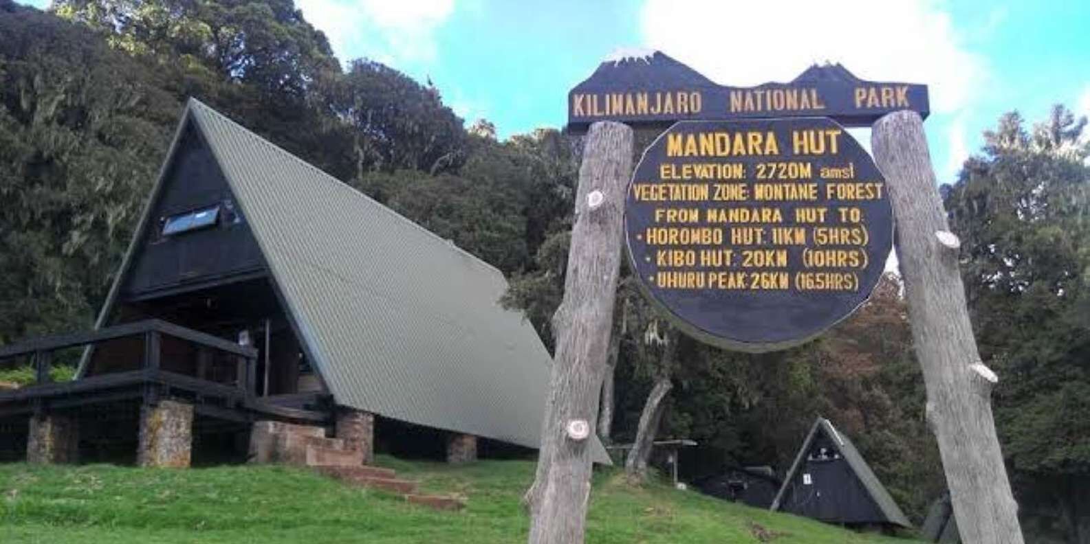 section