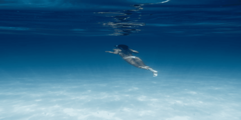 product-thumbnail-2