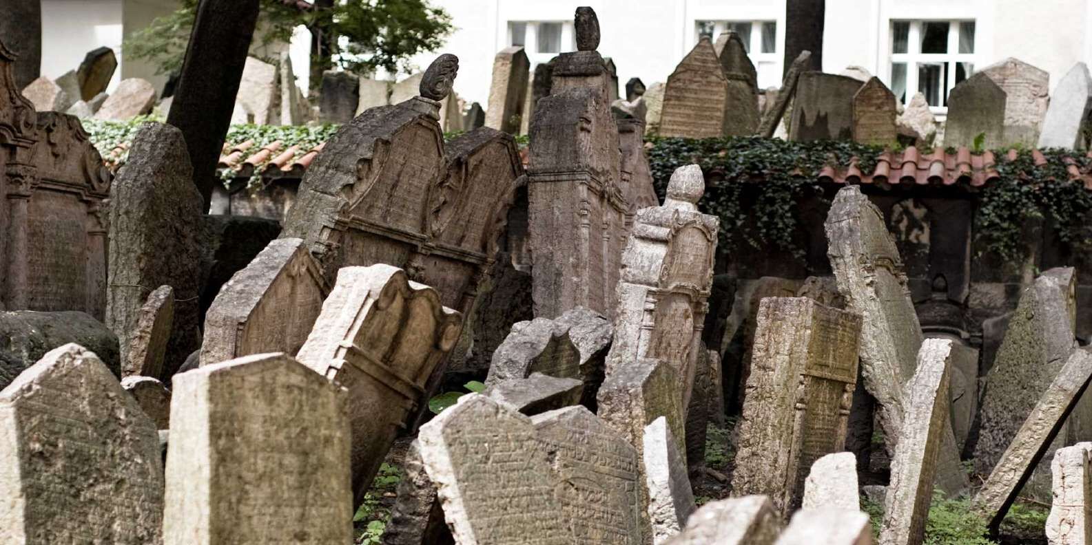 section