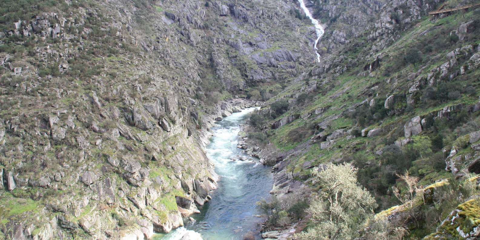 section