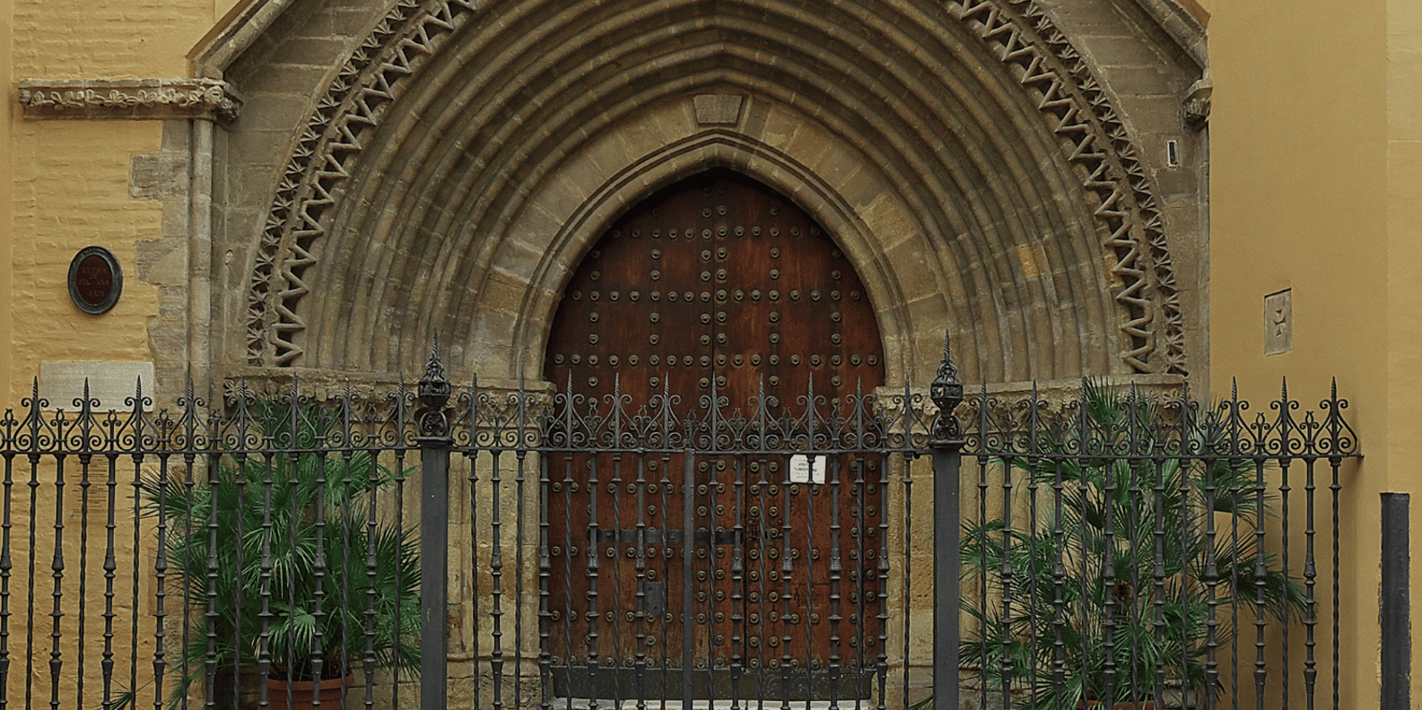 section